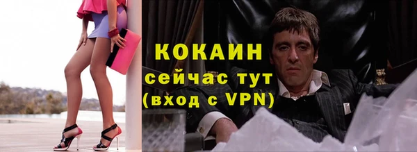 сатива Пестово