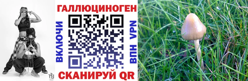 Псилоцибиновые грибы Magic Shrooms  Североморск 