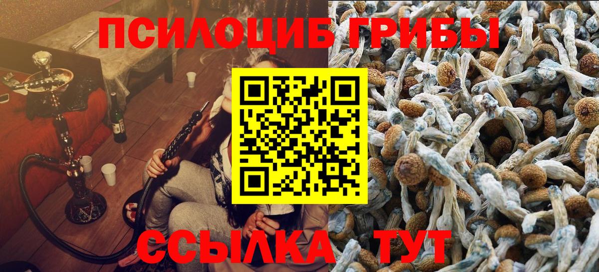 Псилоцибиновые грибы GOLDEN TEACHER  Вход с VPN  Североморск  купить  сайты  Галлюциногенные грибы мухоморы 