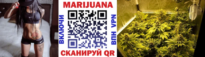 Бошки марихуана гибрид  как найти закладки  Североморск 